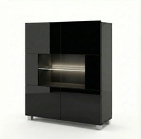 Czarny / Czarny połysk \ Oświetlenie LED - Białe