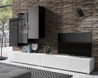 Czarny + Czarny połysk / Biały + Biały Połysk \ Bez oświetlenia