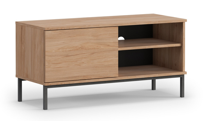 Szafka RTV Dallas 1D